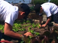 Gardening With Kids 