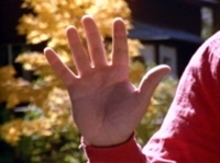 I am Joes Hand 